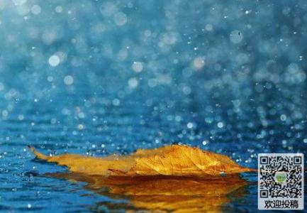 难忘的夏日雨