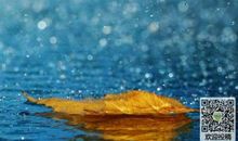 难忘夏日的那场雨