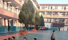 精彩的课外活动