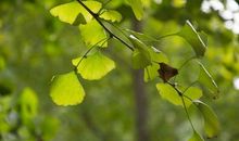 与秋雨亲密接触