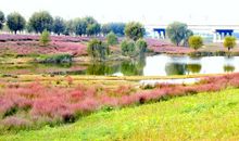 我爱这多彩的秋