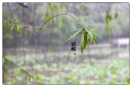 清明节