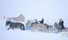 寒假新疆之行——滑雪小记