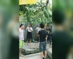 那天我真开心