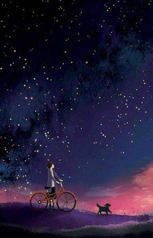 你在星空下