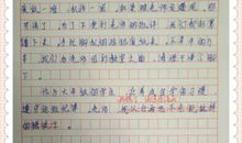 我们的作文老师