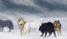 不该消失的鸟声