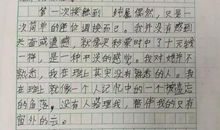 我是一个小小兵作文