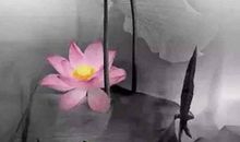 读《三打白骨精》有感