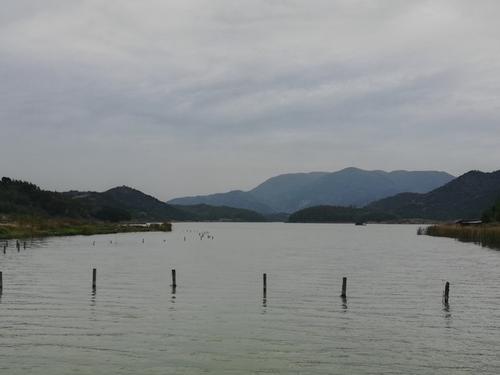 白洋湖