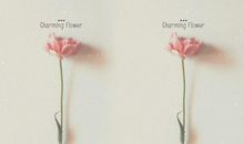 细品学习生活中的苦乐与挫折