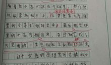 我做了一项小实验作文