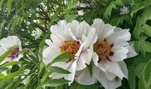 陪伴让岁月多了一份孤独