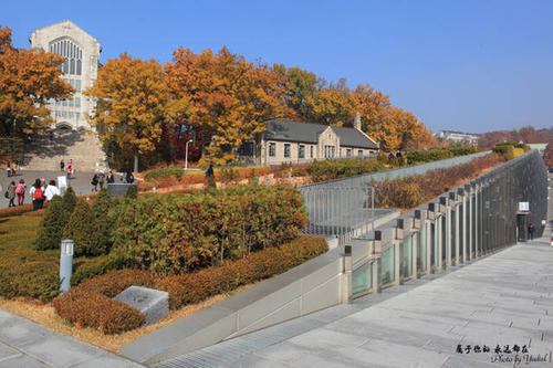 美丽的校园让我陶醉