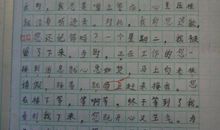 致学校的一封信作文