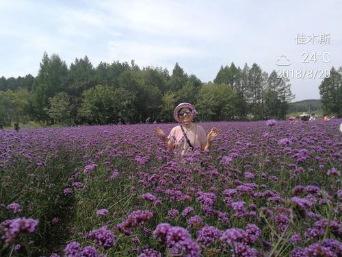 参观达赖花海