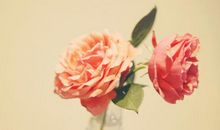 那些值得怀念的日子