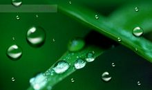 我是一滴小水珠