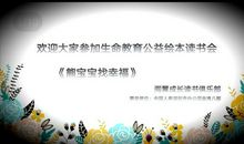 熊宝宝找幸福故事