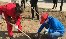 种下希望和梦想