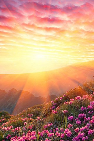 阳光下最灿烂的风景