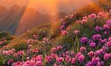 阳光下最灿烂的风景