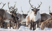 令我眼前震撼的一幕