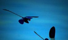 来自内心的提醒