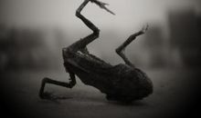 一次有意义的挑战赛