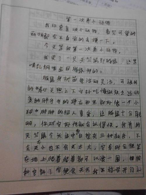 以逗号为主题的作品