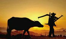 充满父爱的夜晚