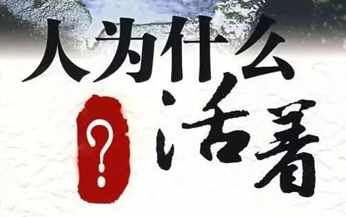为了什么
