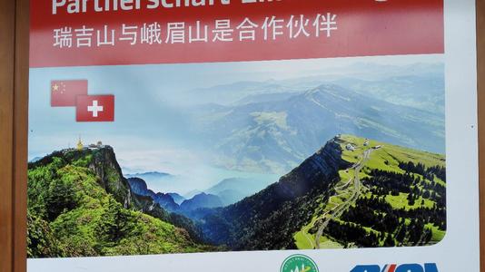 雨真的让我着迷