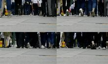 放下忙碌的脚步