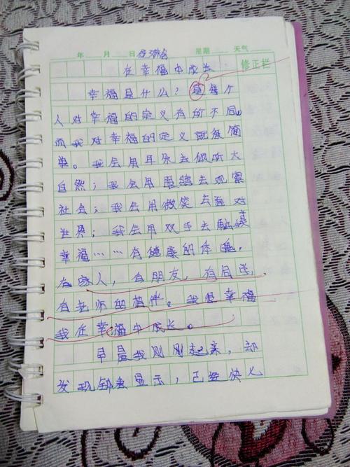我在幸福中成长
