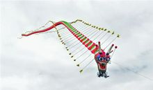 我与龙形风筝的故事