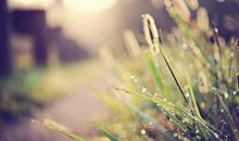 认清现在，而不是未来