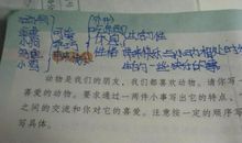 介绍写小狗的作文