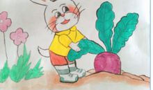 看图写话萝卜不见了