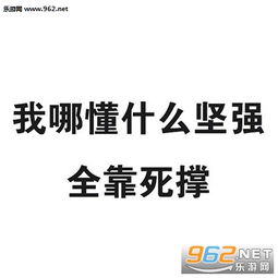 他让我明白了