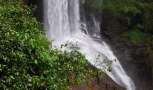 百丈漈的山和水