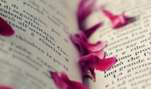 深切怀念我那逝去的安稳日子