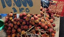 悲伤的大年初一