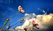 与“行走的格桑花”手牵手