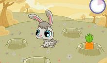 小兔子拔萝卜