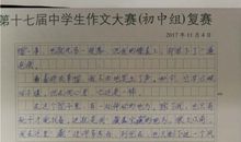 关于升旗手的作文