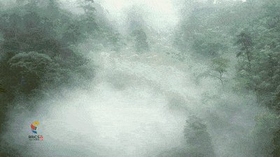 因为梦想，不怕悲伤