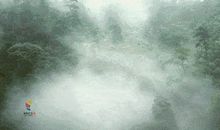 因为有梦，不惧悲伤