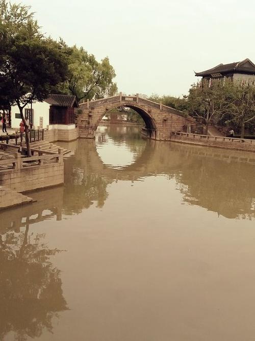 枫树游记
