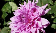 有趣的击掌传花